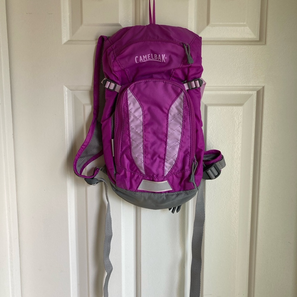 CamelBak Purple and Gray Hydration Backpack